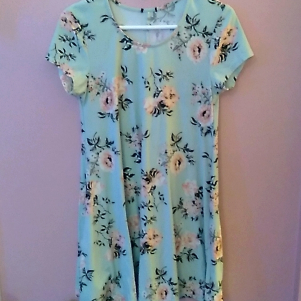 Mint Green and Pink Floral Dress
